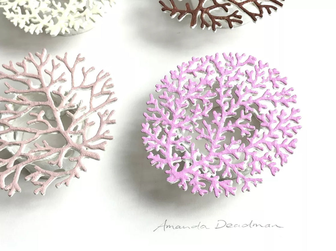 CORALLIUM