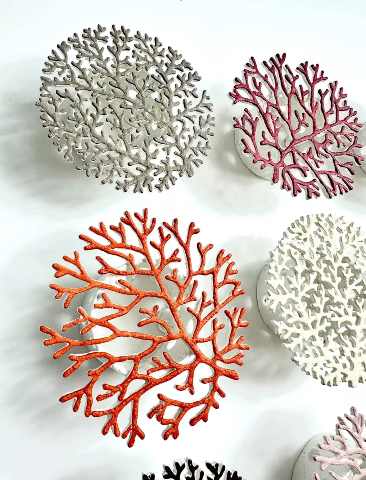 CORALLIUM