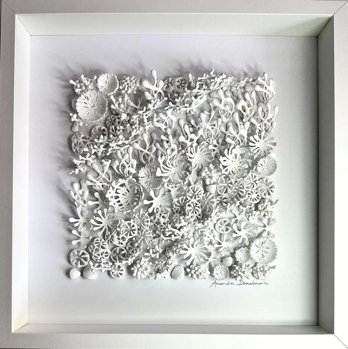 REEF