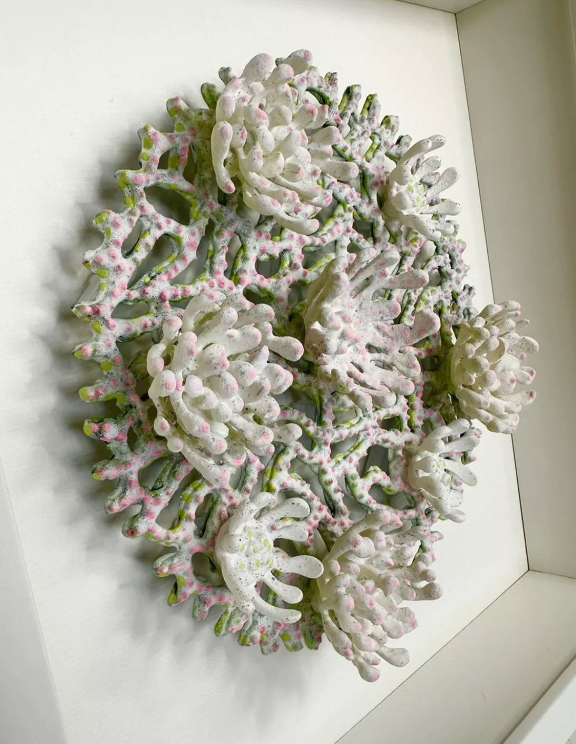 BLOSSOM ATOLL