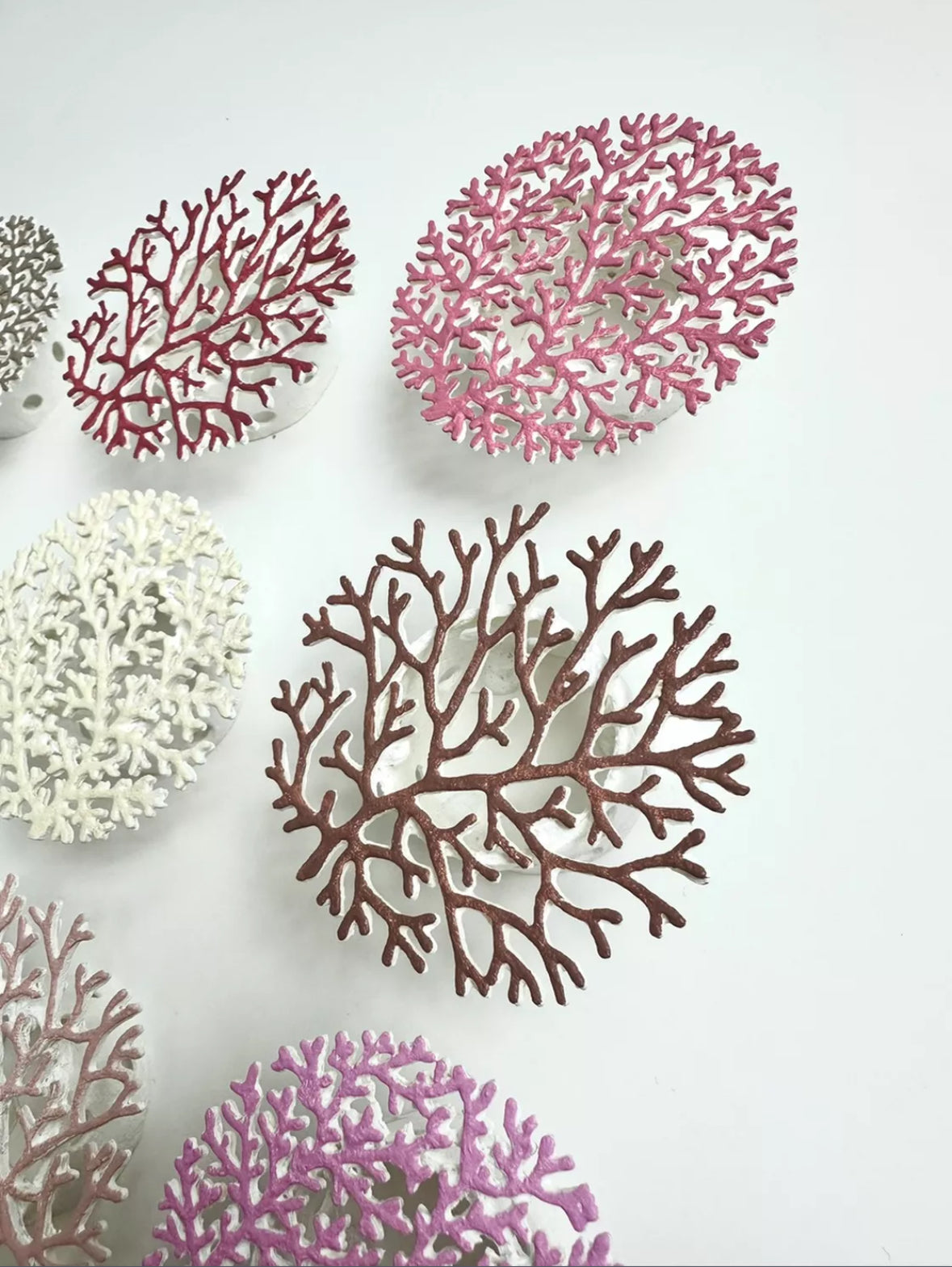 CORALLIUM