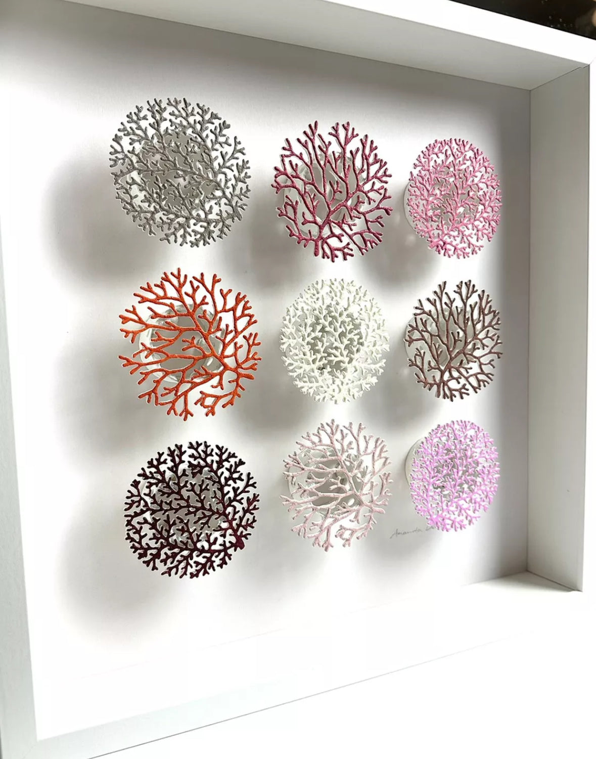 CORALLIUM