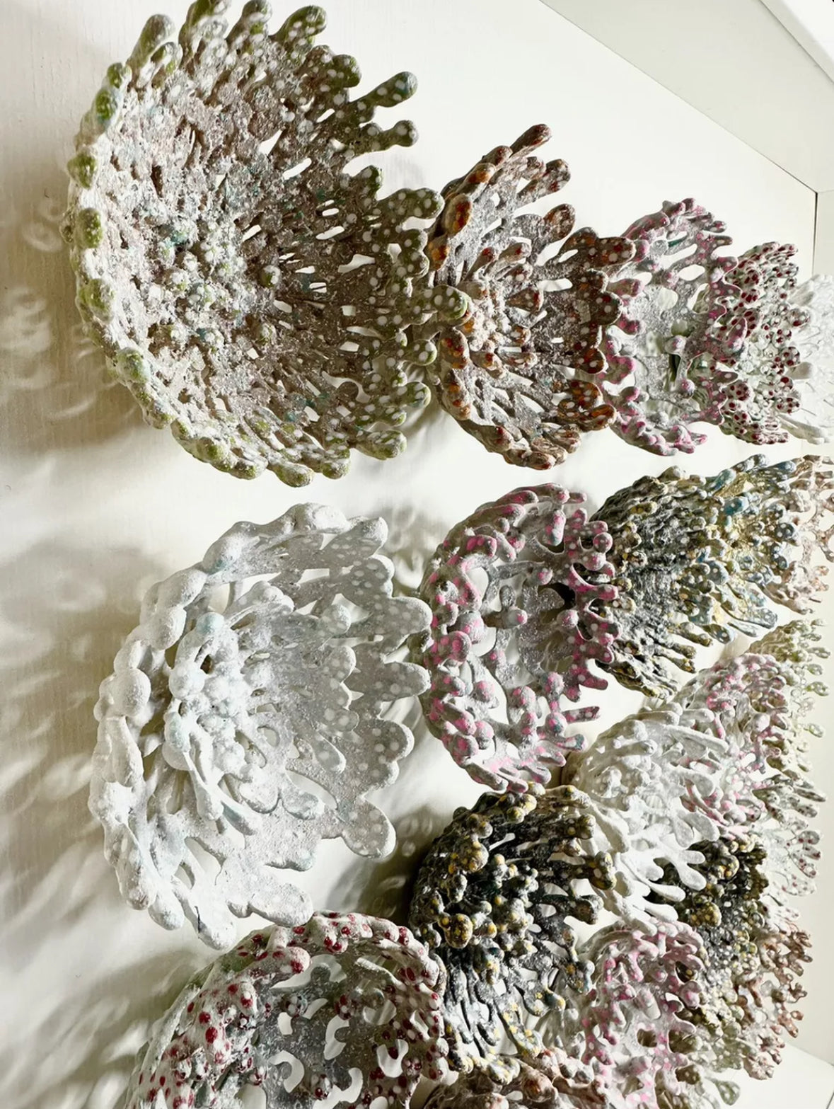 REEF BLOOM